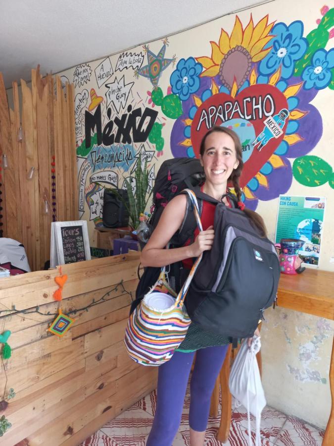 San Cristóbal de Las Casas Casa Apapacho Hostel מראה חיצוני תמונה
