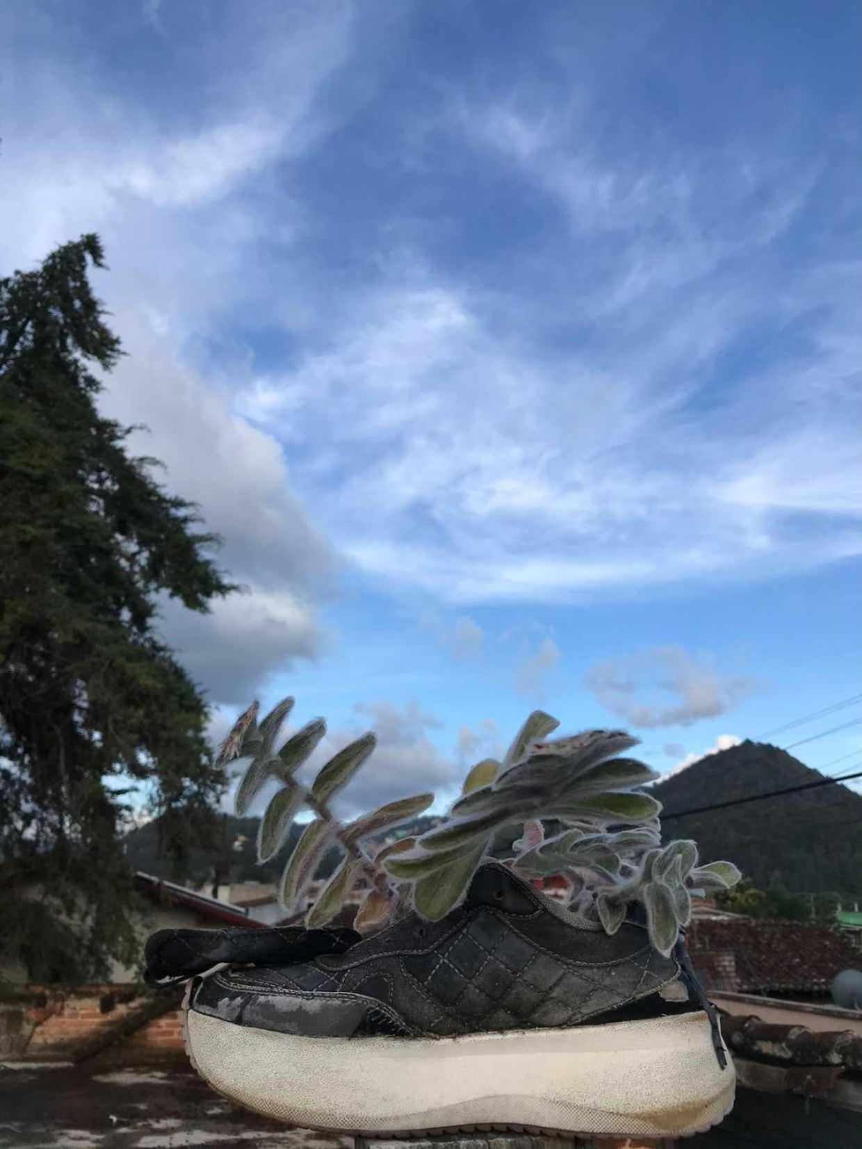 San Cristóbal de Las Casas Casa Apapacho Hostel מראה חיצוני תמונה