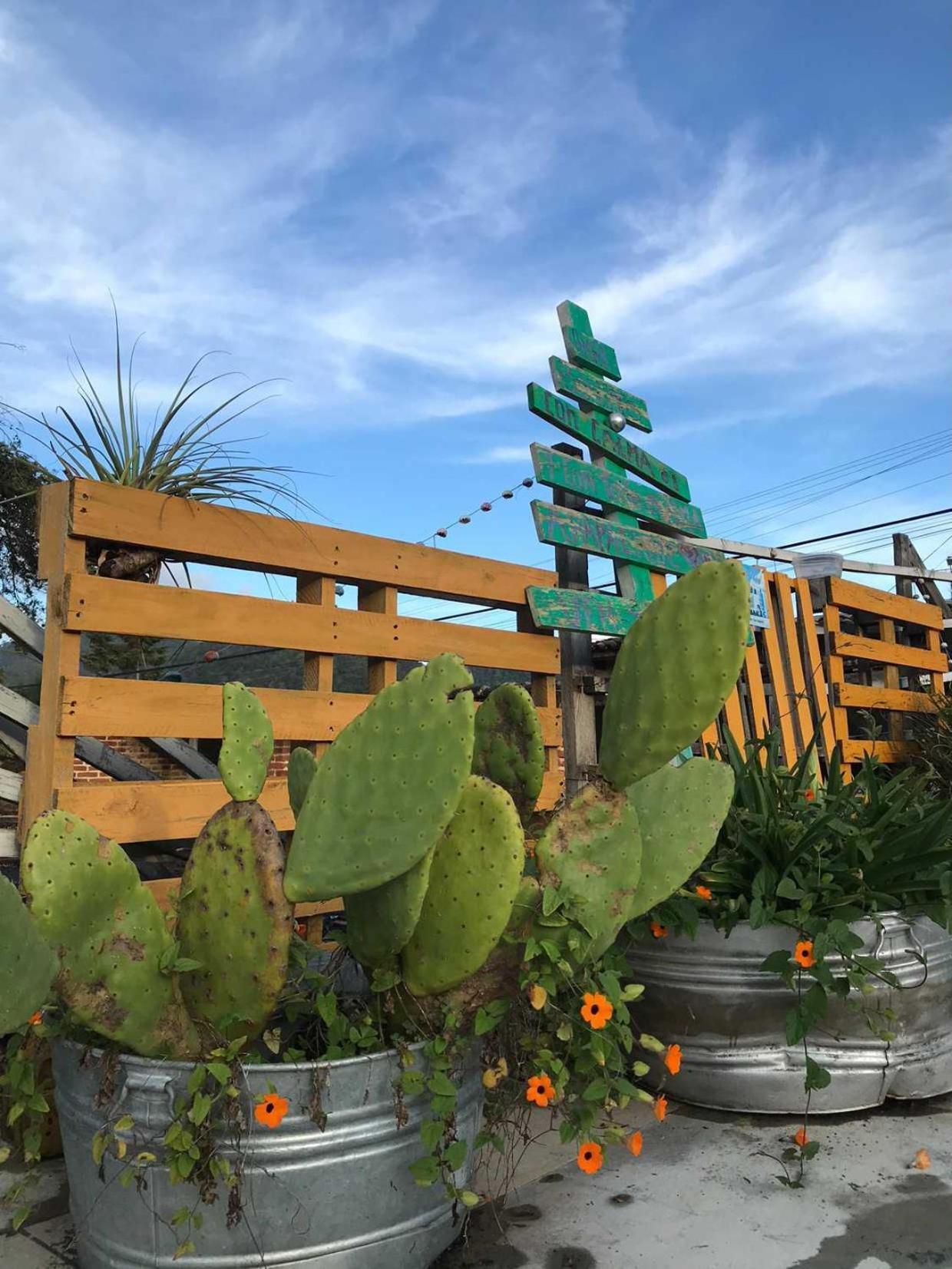 San Cristóbal de Las Casas Casa Apapacho Hostel מראה חיצוני תמונה