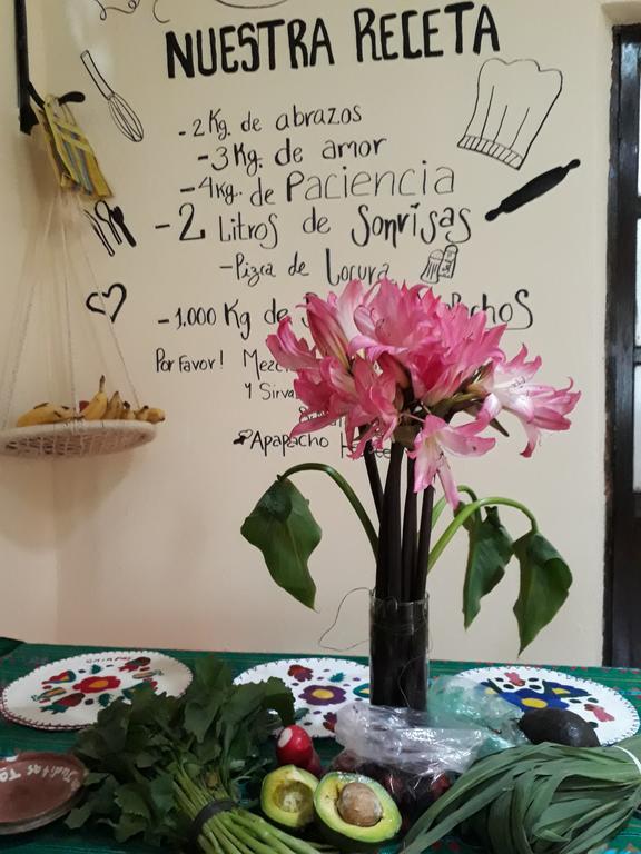 San Cristóbal de Las Casas Casa Apapacho Hostel מראה חיצוני תמונה