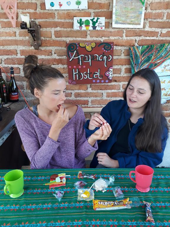 San Cristóbal de Las Casas Casa Apapacho Hostel מראה חיצוני תמונה